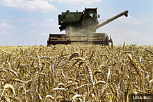 Россия впервые продала подорожавшую пшеницу после выхода из зерновой сделки