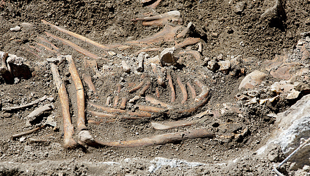 Археологи нашли в Баварии скелет возрастом 6,5 тысяч лет