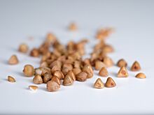 Припасам россиян угрожает нашествие пищевой моли