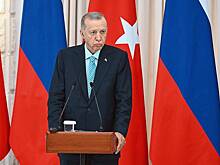 Эрдоган назвал выгодным развитие отношений с БРИКС