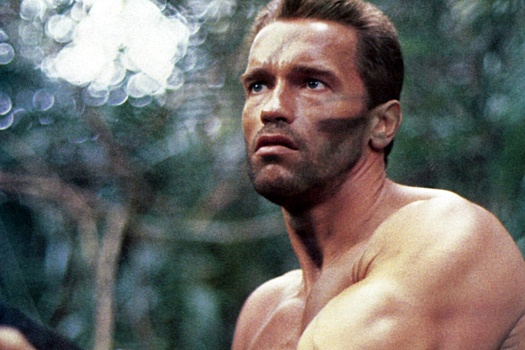 Арнольда Шварценеггера вернули во франшизу "Хищник"