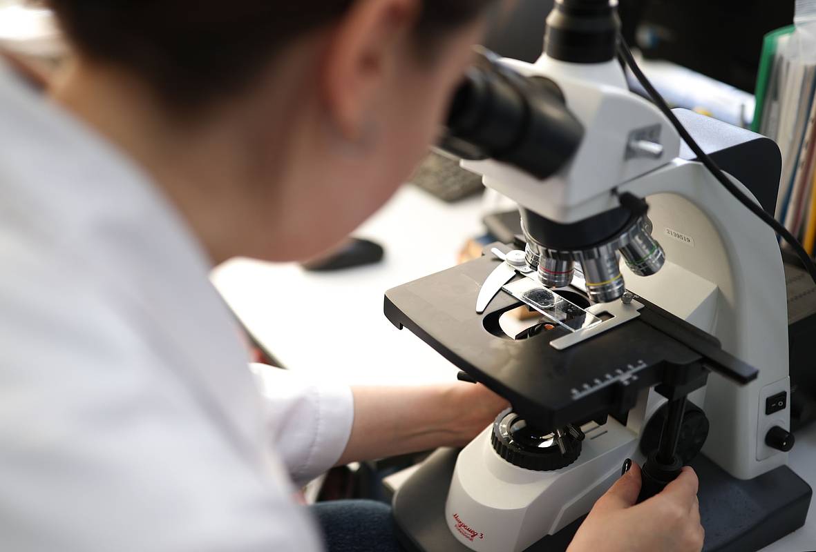 8��������:&nbsp; ����� �������� �������� ������� �����