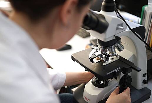 8 февраля: какой праздник отмечают в России и мире