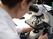 8 февраля: какой праздник отмечают в России и мире