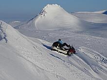 «Перевал Дятлова»: загадочную находку в тайге обсуждают в Приморье