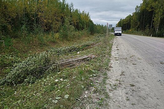 В Подосиновском районе начались подготовительные работы для ремонта дороги