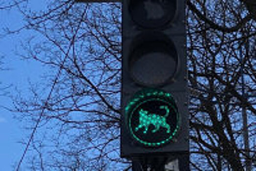 В Екатеринбурге на замену светофоров и знаков потратят 95 миллионов