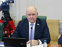 Сенатор Карасин: Азиатско-Тихоокеанское направление — один из ключевых приоритетов внешней политики