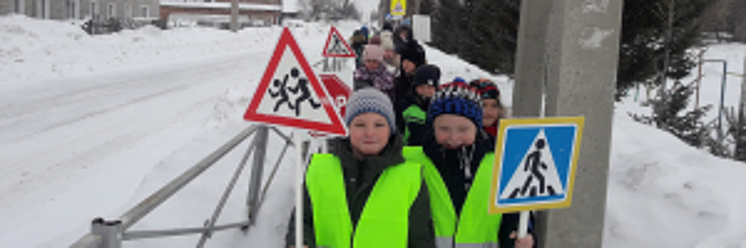 Сотрудники Госавтоинспекции Новосибирской области организовали для школьников экскурсию «В гости к пешеходному переходу»