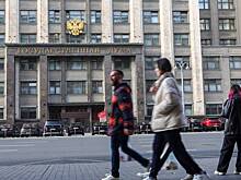В Госдуму внесли проект о наказании до пожизненного за склонение детей к диверсиям
