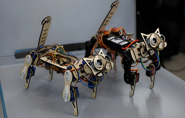 В одном из университетов России создали киберкота для обучения робототехнике