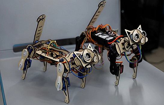 В одном из университетов России создали киберкота для обучения робототехнике