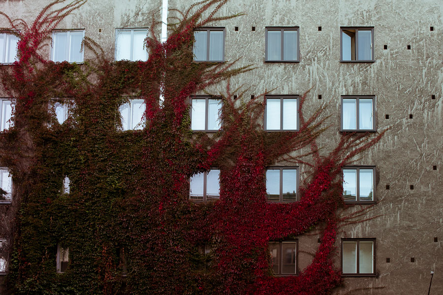 Район Тёёлё, Хельсинки, Финляндия, Европа