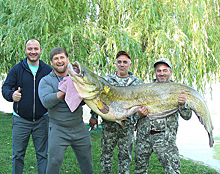 Кадыров поймал гигантского сома