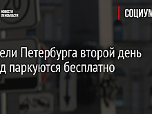 Водители Петербурга второй день подряд паркуются бесплатно