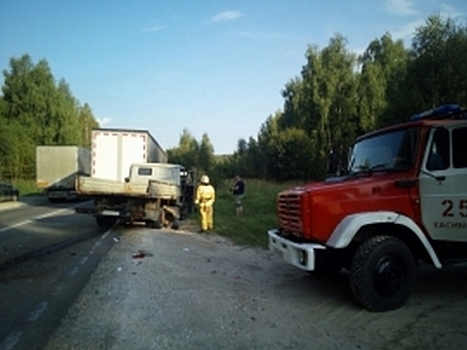 В Рязанской области столкнулись два грузовика – есть пострадавшие