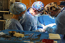До 130 трансплантаций органов смогут проводить врачи Боткинской больницы ежегодно