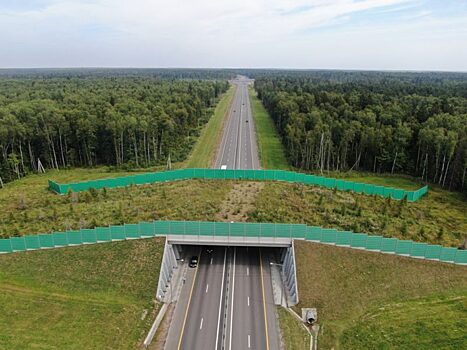 Экодук потерял популярность у зверей