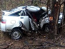 В Ростовской области автомобиль врезался в дерево