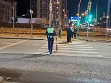 Подросток на самокате попал под машину в Екатеринбурге, пытаясь проскочить на красный свет