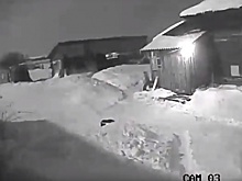 Житель села в Далматовском районе записал на видео полет космического болида
