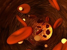 «Обман» иммунитета позволил увеличить время циркуляции наночастиц в крови