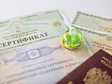 Проще, чем кажется: как материнским капиталом оплатить обучение детей