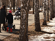 Всего +3 °С: опубликован прогноз погоды на март-2026 в Новосибирске