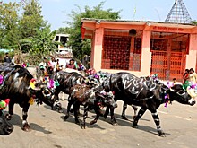 США готовятся к новому торговому спору