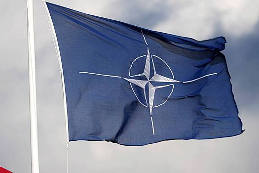В Германии усомнились в будущем вступлении Украины в НАТО