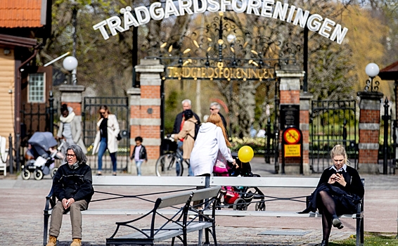 В Швеции скрывают данные о совещаниях по COVID-19