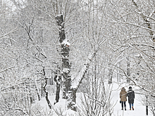 В Москве снежный покров вдвое превысил норму