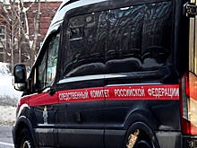 Пропавшую мать с двумя детьми из Петербурга нашли во Владимирской области