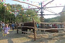 Около 220 тысяч человек посетило воронежский фестиваль «Город – Сад»