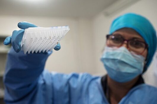 В Красноярском крае откроют ещё четыре лаборатории для тестирования на коронавирус