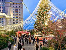 Что удивляет иностранных туристов в зимней Москве