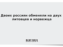 Россия передала осужденного за шпионаж Берга Норвегии