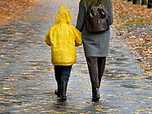 Россиянка без родительских прав похитила десятилетнего сына и поплатилась