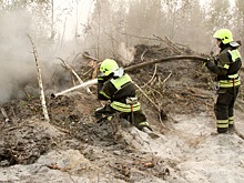 В Хабаровском крае устанавливают фотоловушки против поджигателей леса