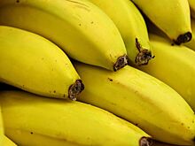 Как выбрать продукты для перекуса при болезнях ЖКТ