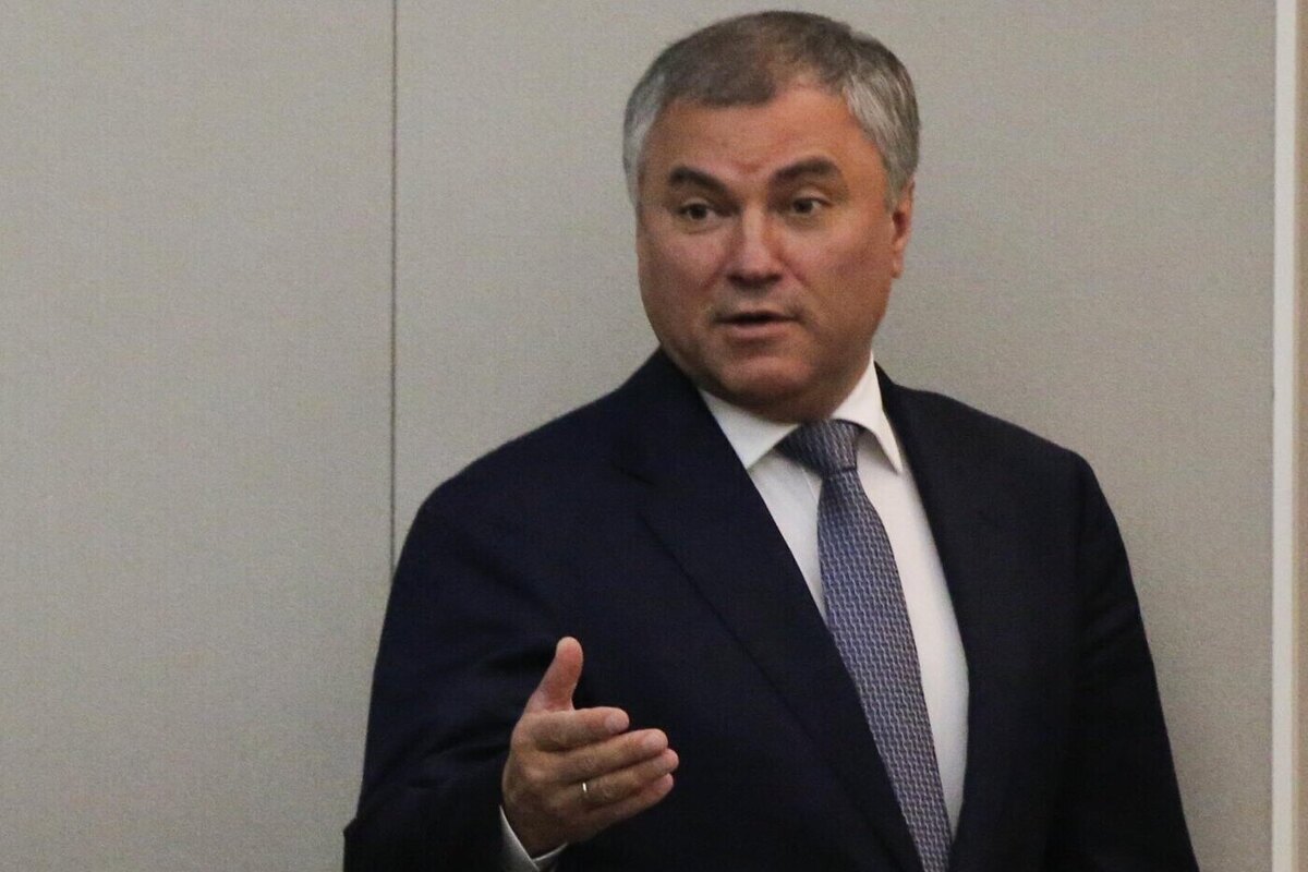 Володин оценил прием Зеленского в Ереване