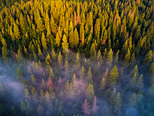 Ученые озвучили неожиданные последствия глобального потепления