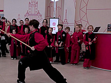 В России прошел День восточных единоборств