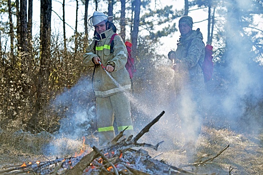Владельцев лесных участков начнут штрафовать за отказ помогать пожарным