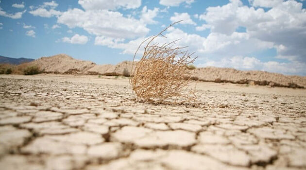 В Свердловской области ввели режим ЧС из-за засухи