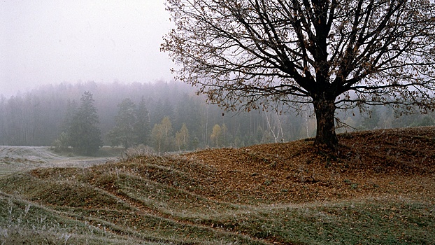 Синоптик предупредила о ночных заморозках на большей части России