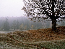 Синоптик предупредила о ночных заморозках на большей части России