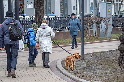 Названы суммы штрафов для собаководов в Москве