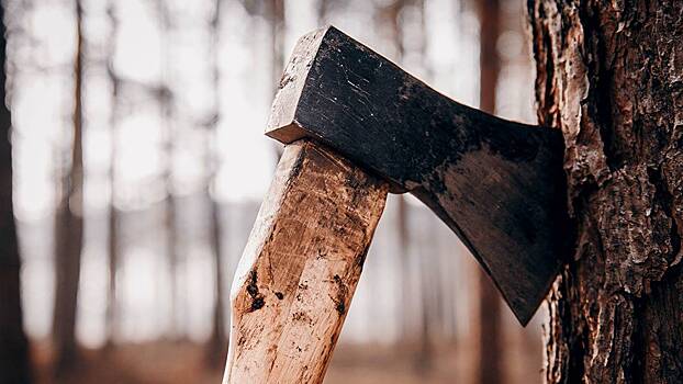 «Ижевский Раскольников» вышел на свободу