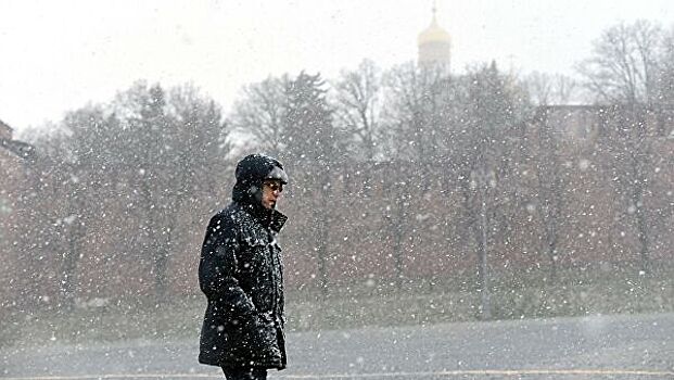 Москвичам дали совет в связи со снегопадом